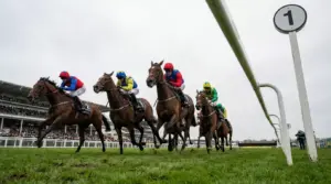 UK Place Terms Horse Racing – How Many Places Paid 2026