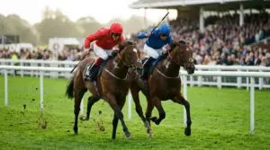 Win Bet vs Place Bet – Choosing the Right Horse Racing Wager